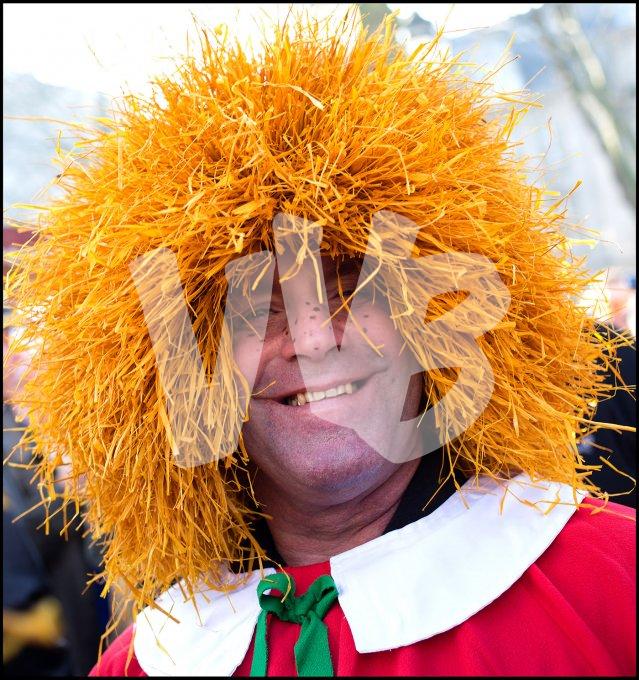 vvbvanbree carnaval   7520