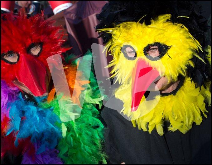 vvbvanbree carnaval   7521