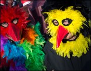 vvbvanbree carnaval   7521