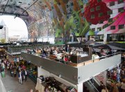 vvbvanbree Markthal Rotterdam    7522