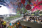 vvbvanbree Markthal Rotterdam    7524