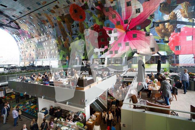 vvbvanbree Markthal Rotterdam    7526
