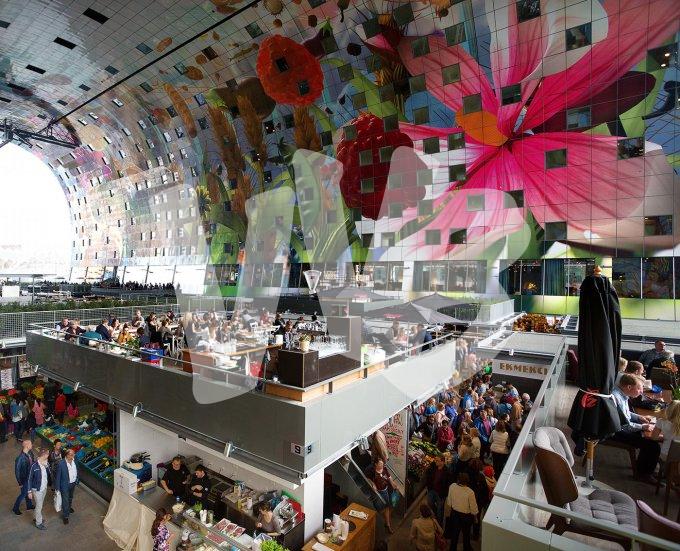 vvbvanbree Markthal Rotterdam    7527