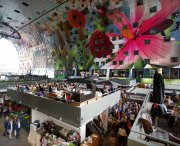 vvbvanbree Markthal Rotterdam    7527