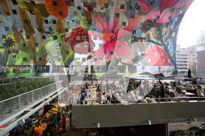 vvbvanbree Markthal Rotterdam    7528