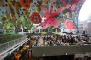 vvbvanbree Markthal Rotterdam    7528