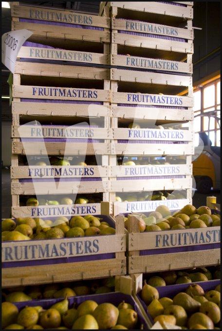 vvbvanbree fruitmasters fruitveiling    7588