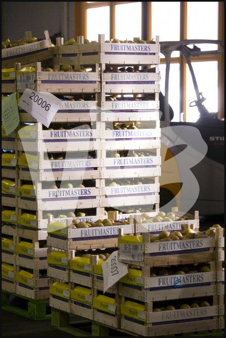 vvbvanbree fruitmasters fruitveiling    7593