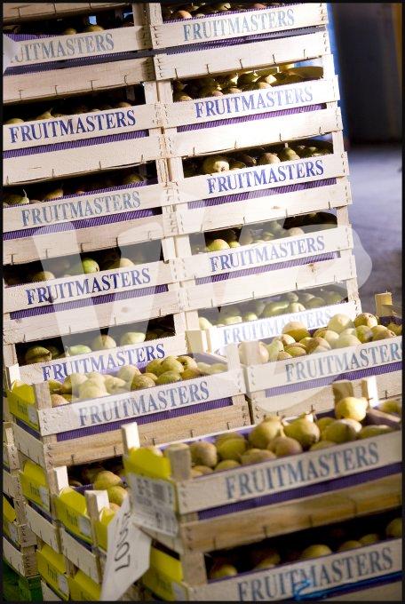 vvbvanbree fruitmasters fruitveiling    7594