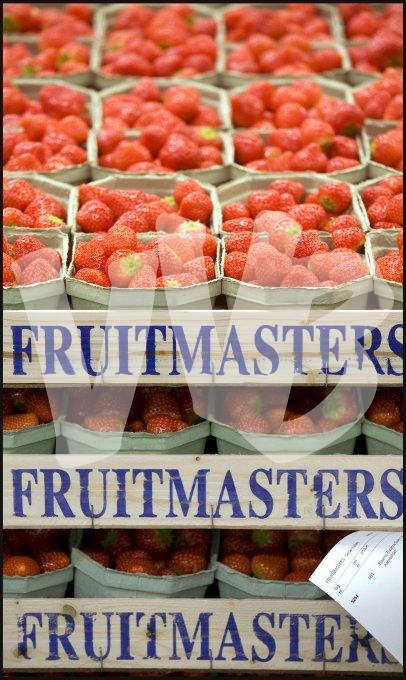 vvbvanbree fruitmasters fruitveiling    7596
