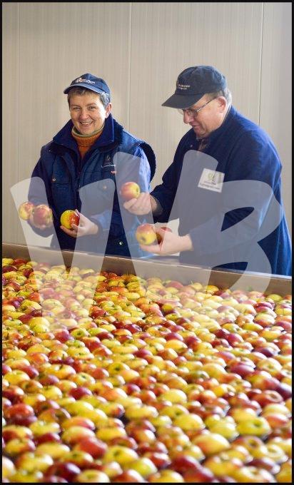 vvbvanbree fruitmasters fruitveiling    7598