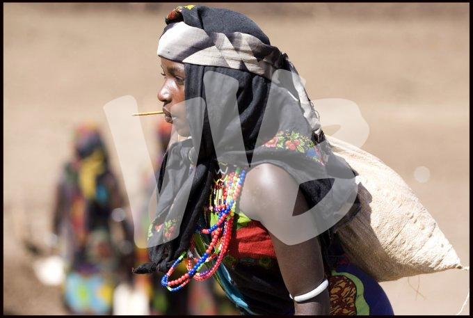 vvbvanbree ethiopie  2611   kopiëren