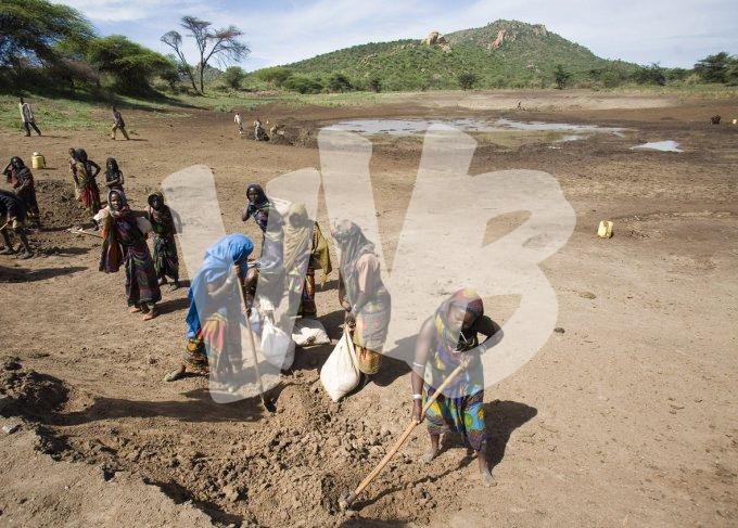 vvbvanbree ethiopie  2617   kopiëren