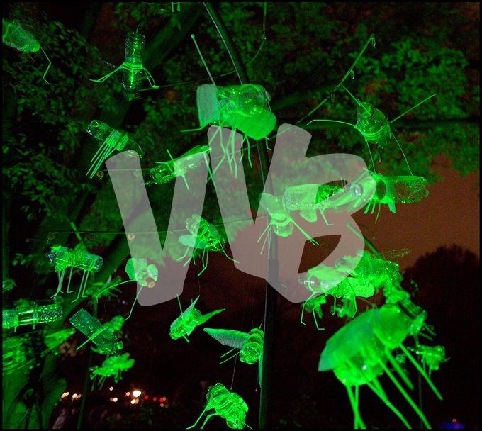 vvbvanbree Glow Eindhoven DV4C7067
