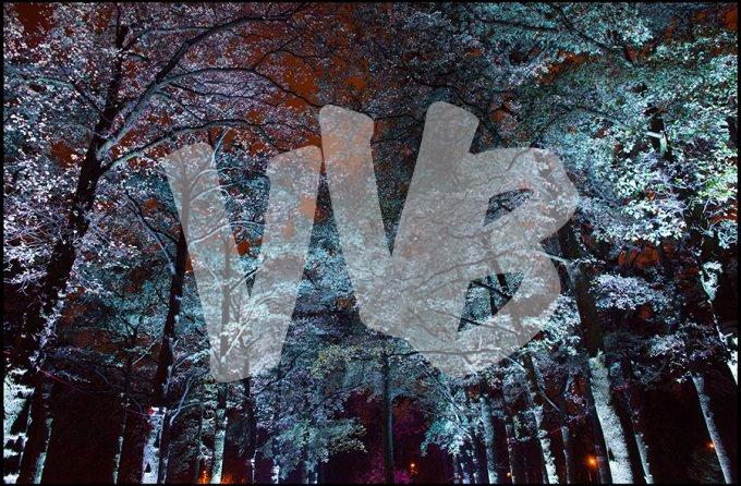 vvbvanbree Glow Eindhoven DV4C7281