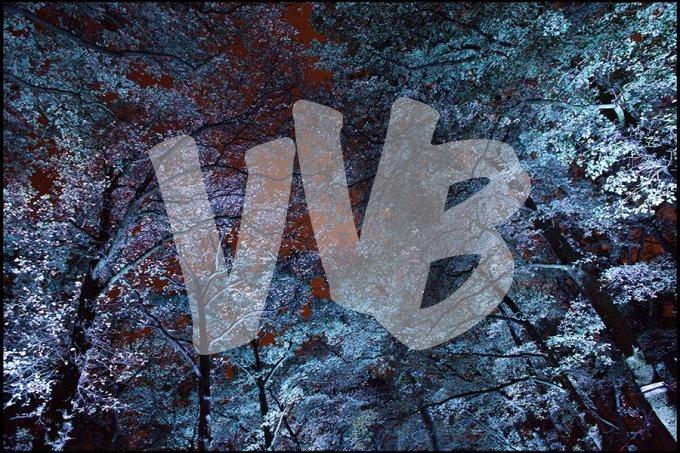 vvbvanbree Glow Eindhoven DV4C7283