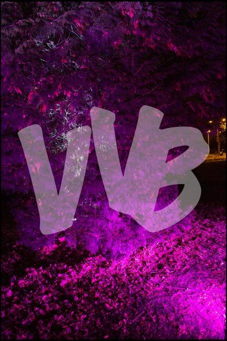 vvbvanbree Glow Eindhoven DV4C7296