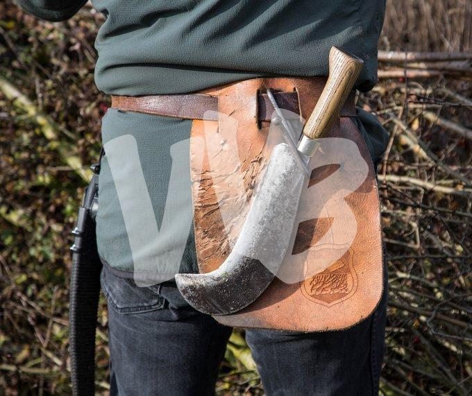 vvbvanbree heggenvlechten -3447