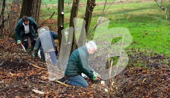 vvbvanbree natuurbeheer    0