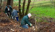 vvbvanbree natuurbeheer    0