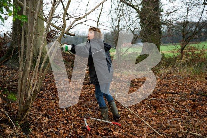 vvbvanbree natuurbeheer    10
