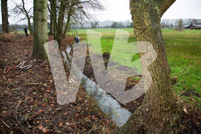 vvbvanbree natuurbeheer    12