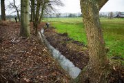vvbvanbree natuurbeheer    12