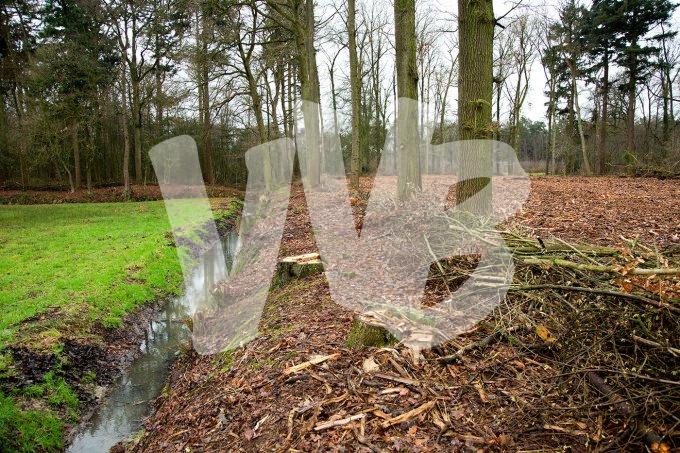 vvbvanbree natuurbeheer    13