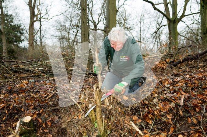 vvbvanbree natuurbeheer    3