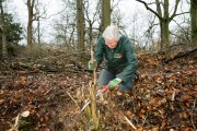 vvbvanbree natuurbeheer    3
