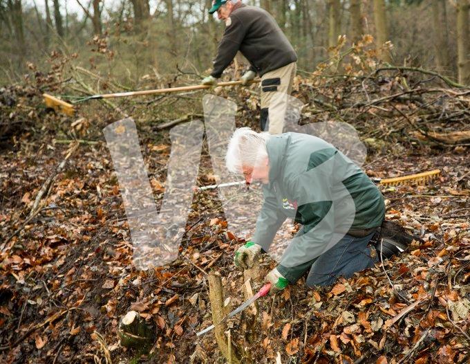 vvbvanbree natuurbeheer    4