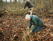vvbvanbree natuurbeheer    4