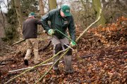 vvbvanbree natuurbeheer    5