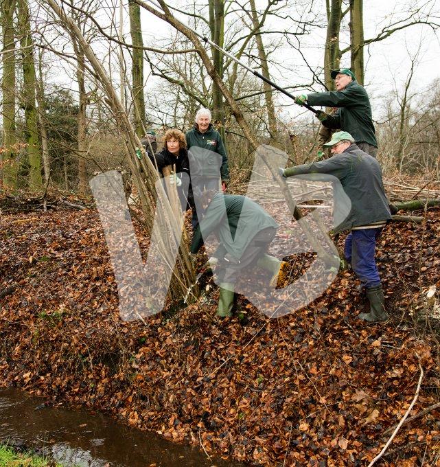 vvbvanbree natuurbeheer    6