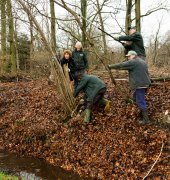 vvbvanbree natuurbeheer    6