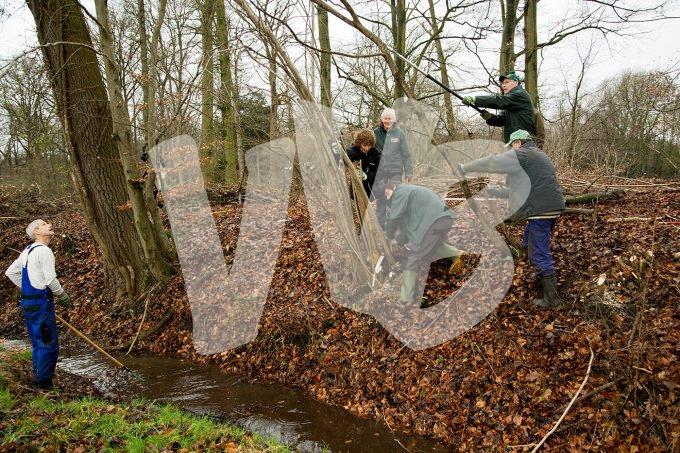vvbvanbree natuurbeheer    7