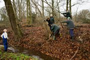vvbvanbree natuurbeheer    7