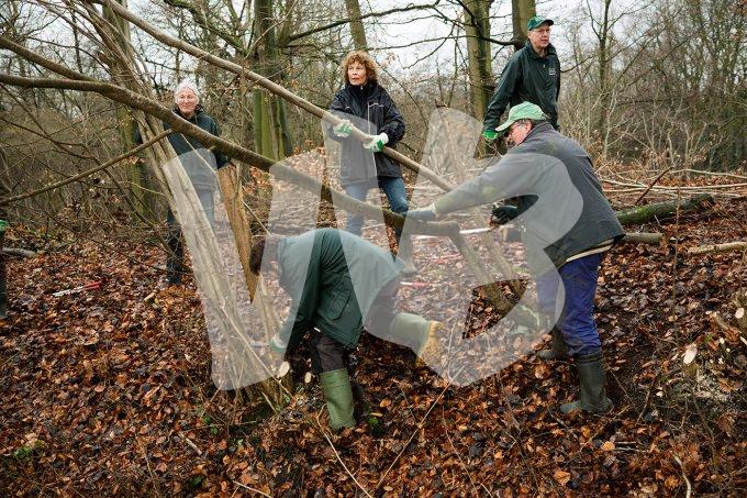 vvbvanbree natuurbeheer    8