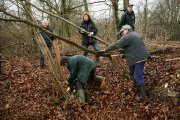 vvbvanbree natuurbeheer    8