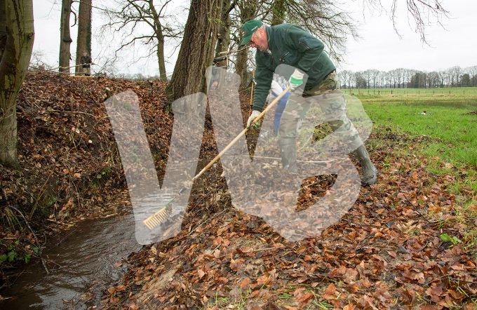 vvbvanbree natuurbeheer    9