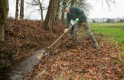 vvbvanbree natuurbeheer    9