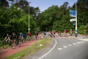 vvbvanbree wieler toertocht  7731
