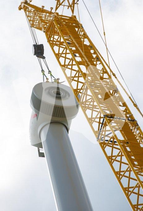 vvbvanbree windmolens   7970