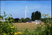 vvbvanbree windmolens   7973