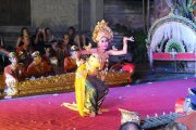 vvbvanbree Bali    8002