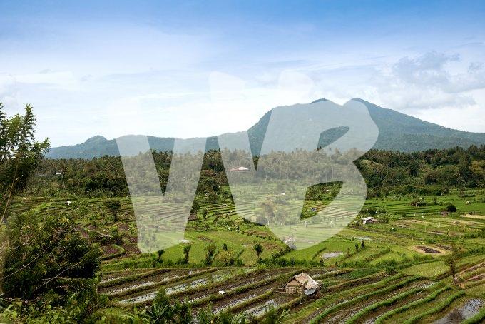 vvbvanbree Bali    8043