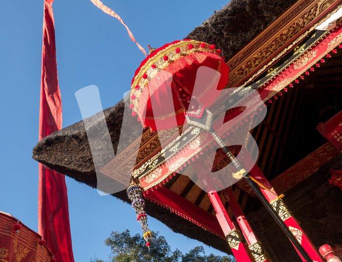 vvbvanbree Bali    8072