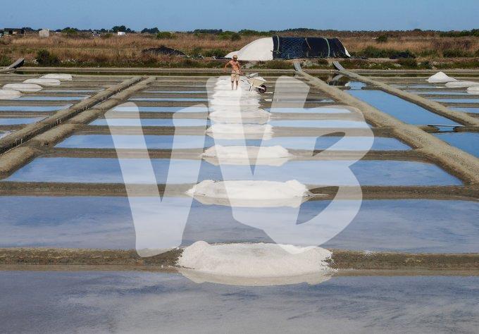 vvbvanbree frankrijk    3233