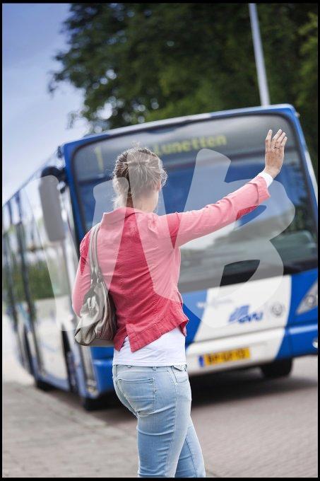 vvbvanbree  stopteken bus  IMG_1947