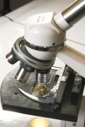 vvbvanbree scheikunde        152